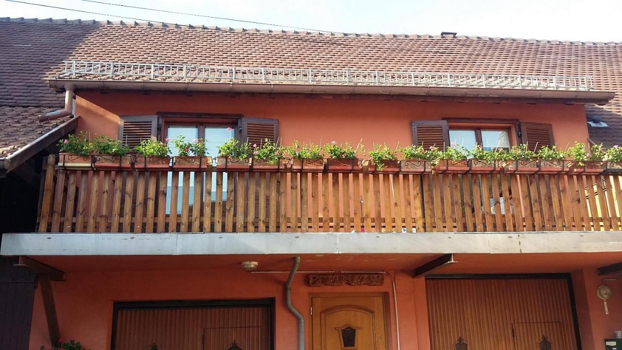 Gite Du Vigneron Mittelwihr Exteriér fotografie